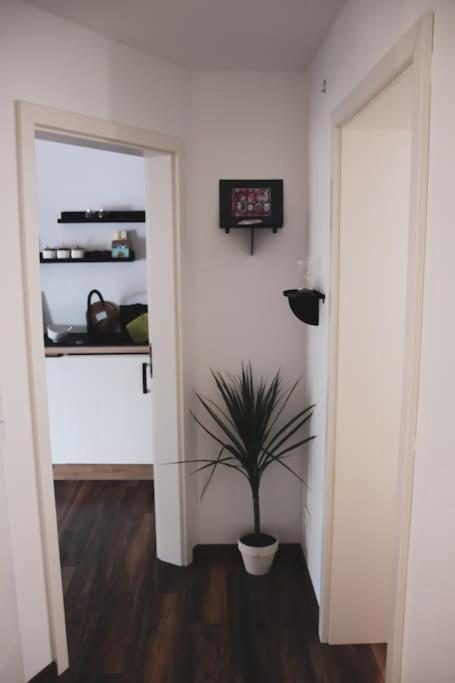 Schoene Wohnung Top Lage Koeln Work & Relax & Travel Frechen Kültér fotó